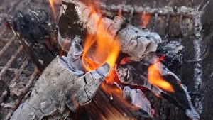 大人の野遊び【バードピア浜北】