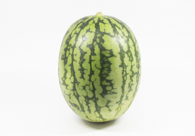 【ヤタローの農業事業】姫枕（ひめまくら）すいか